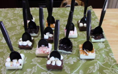 Hot Chocolate Spoons