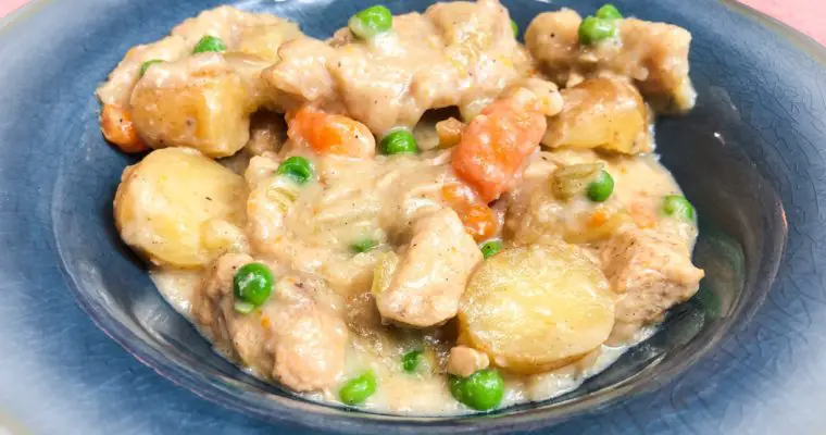 Instant Pot Easy Chicken and Dumplings