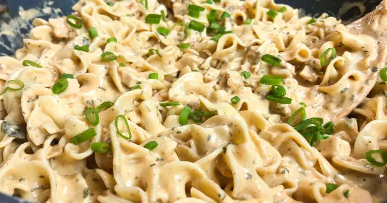 Rotisserie Chicken Stroganoff