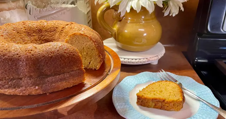 The BEST Crack Cake Made with Box Cake Mix